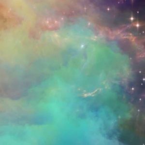 Meet your Posher, Dayle